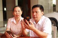 Bí thư chi bộ khối, xóm phải đáp ứng trình độ, kỹ năng nào?