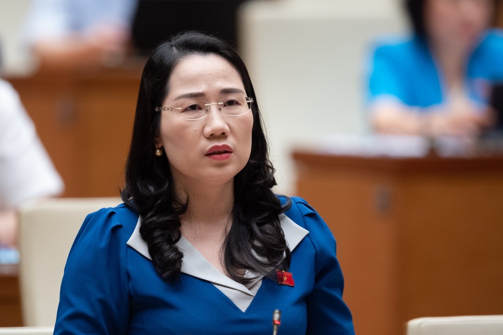 Bán hàng lưu động tràn về lừa đảo người dân, đại biểu đề xuất hướng xử lý - 1 Bán hàng lưu động tràn về lừa đảo người dân, đại biểu đề xuất hướng xử lý - 1