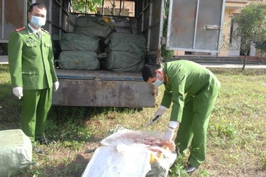 Bắt giữ 900kg nầm lợn nhập lậu từ Trung Quốc hôi thối mốc xanh