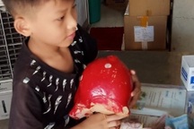 Bé 8 tuổi ở Bạc Liêu "mổ" ống heo mua sữa tặng các em nhỏ khu cách ly