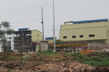 Vụ cá chết trên sông Bưởi: Phạt "thủ phạm" gần 500 triệu đồng