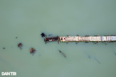 Dựng lại cầu gỗ Ông Cọp dài nhất Việt Nam