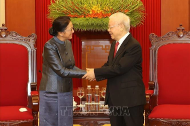 Tổng Bí thư Nguyễn Phú Trọng tiếp Phó Chủ tịch nước Lào