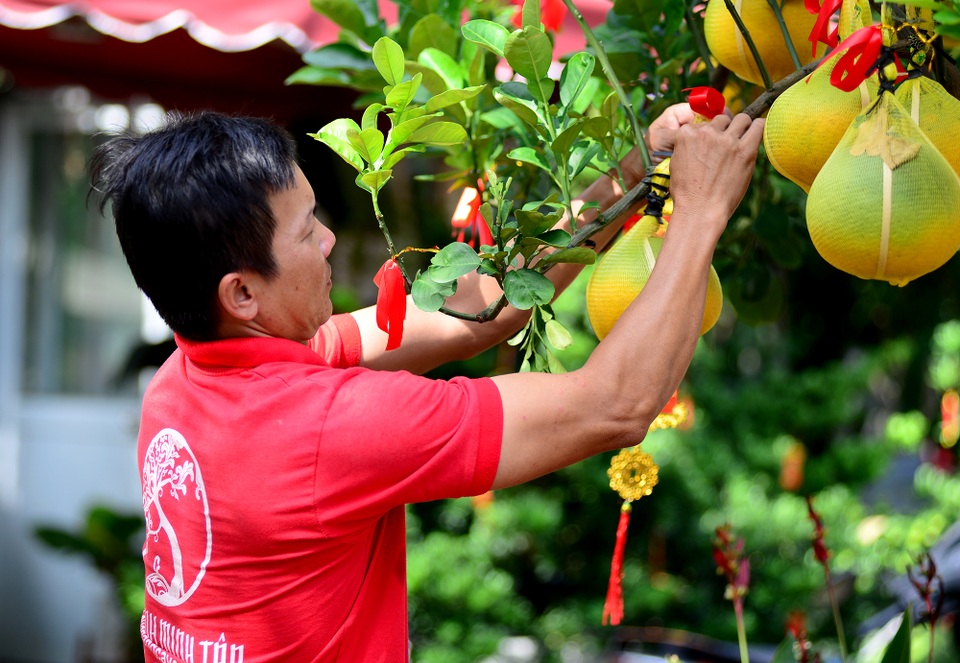 Bưởi Diễn.jpg Bưởi Diễn.jpg