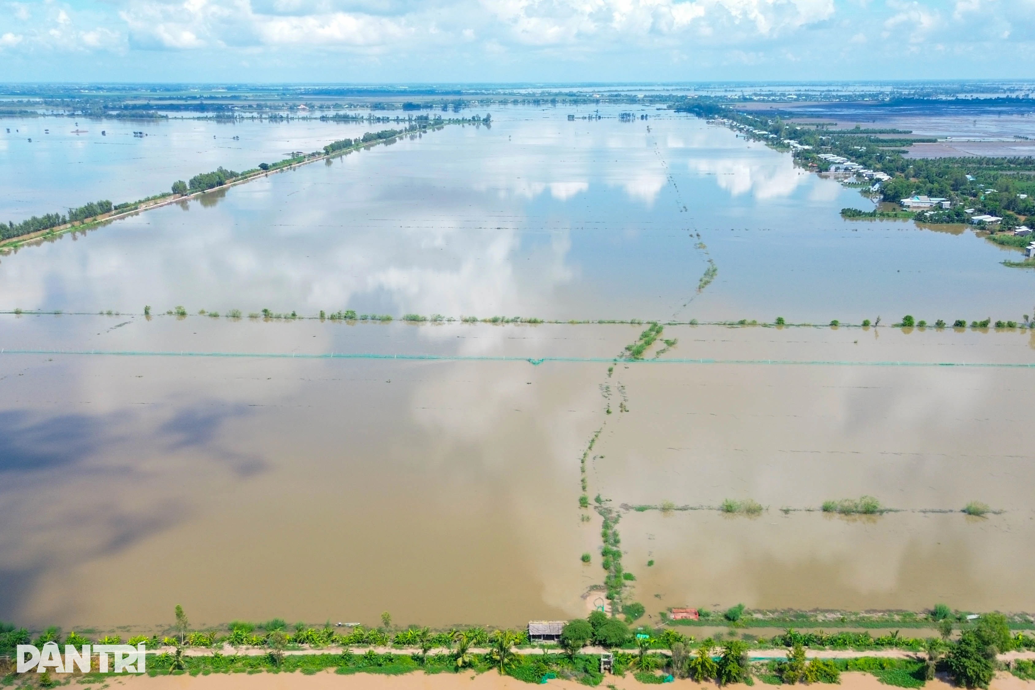 Biến cánh đồng thẳng cánh cò bay thành ao nhà để nuôi sản vật trời ban - 1