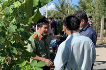 Vụ vận chuyển trái phép 51kg vàng: Phó Thủ tướng chỉ đạo mở rộng điều tra