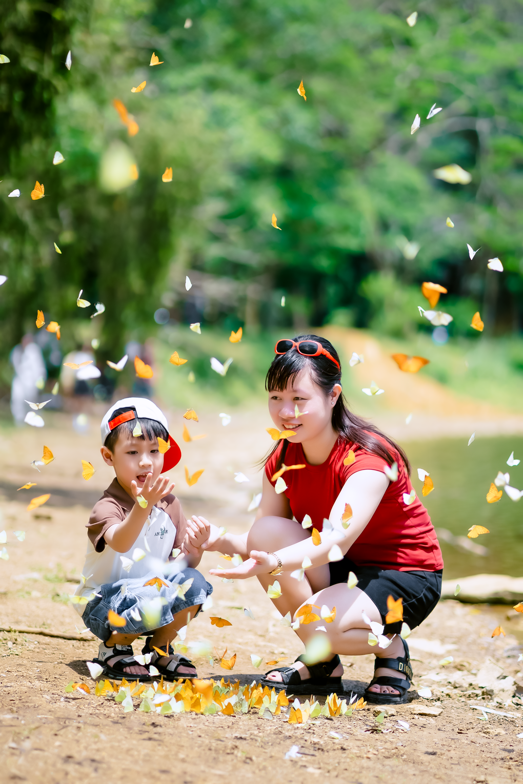 Hơn 400 loài bướm khoe sắc níu chân du khách trong rừng Cúc Phương - 2 Hơn 400 loài bướm khoe sắc níu chân du khách trong rừng Cúc Phương - 2