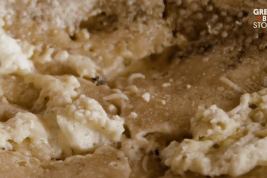 Cách tạo phô mai có hàng nghìn con giòi sống lúc nhúc bên trong