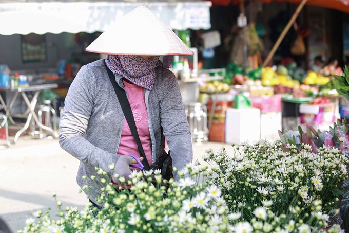 Hà Nội: Họa mi về phố - Ảnh 9. Hà Nội: Họa mi về phố - Ảnh 9.