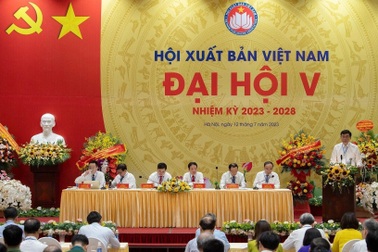 Cán bộ các hội quần chúng có được hưởng chính sách khi tinh giản?