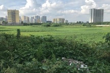 Tiền thu từ quỹ đất 20% nhà xã hội: Nhiều địa phương xảy ra bất cập