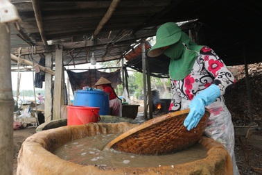Làng hến 200 năm tuổi tất bật vào mùa