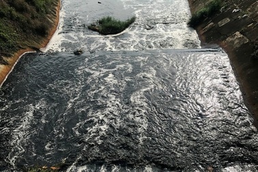 TPHCM kỷ luật hàng loạt lãnh đạo, nguyên lãnh đạo doanh nghiệp Nhà nước