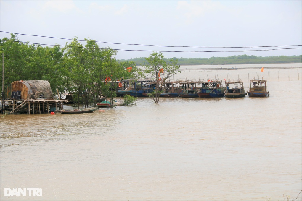 Ninh Bình cấm biển đế ứng phó với bão Yagi - 2 Ninh Bình cấm biển đế ứng phó với bão Yagi - 2