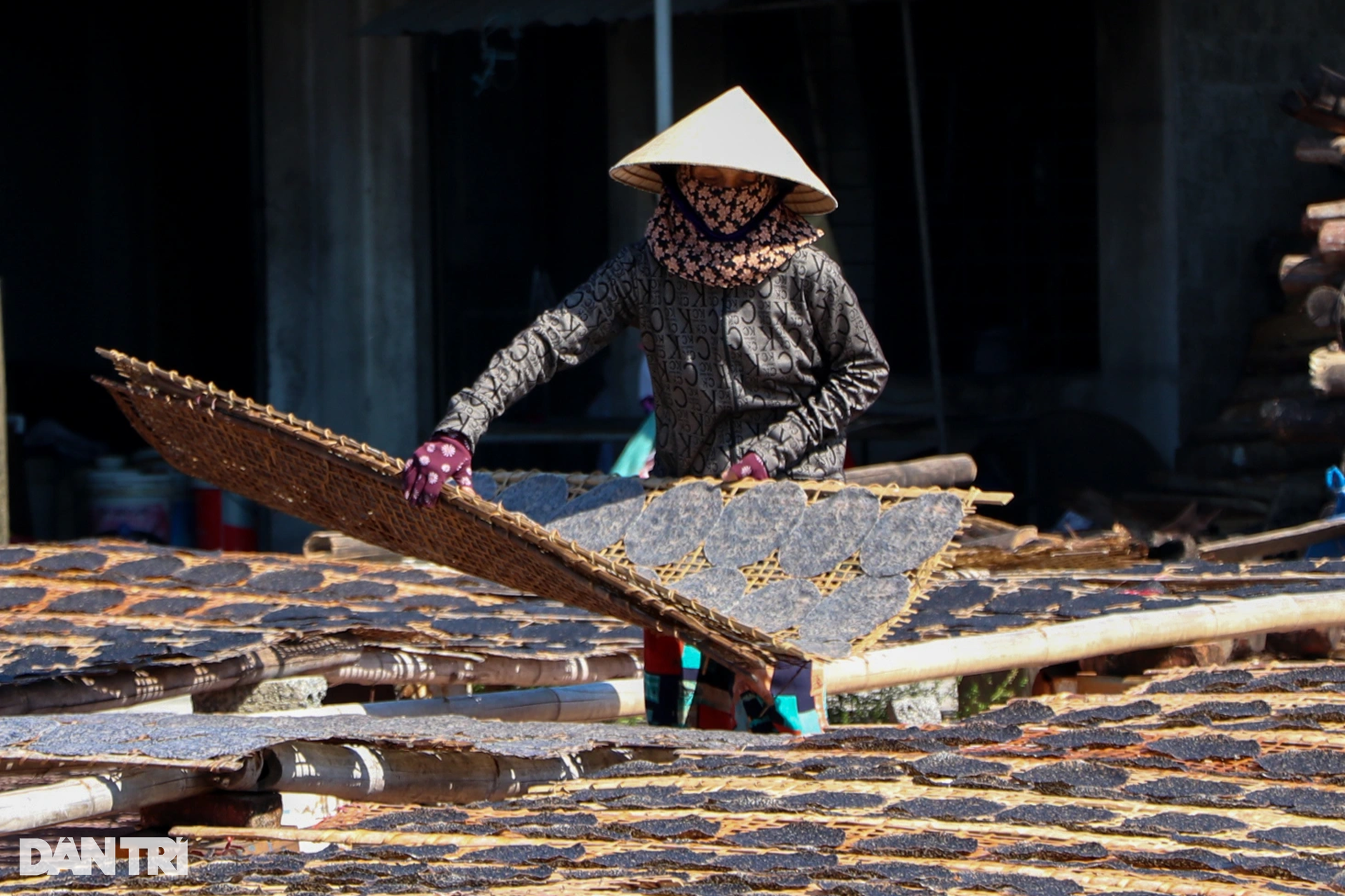 The place where women cook, dry in the sun to create a cake that brings in 4.5 billion VND per year - 7