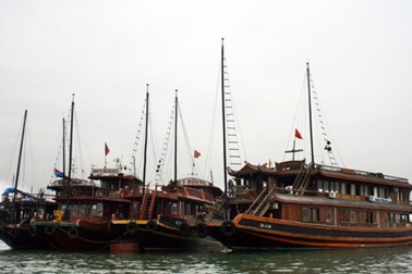 500 tàu du lịch Vịnh Hạ Long hoạt động trở lại