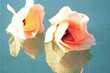 Quá khứ đã ngủ yên