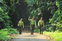 Những người sống "3 không" để giữ rừng