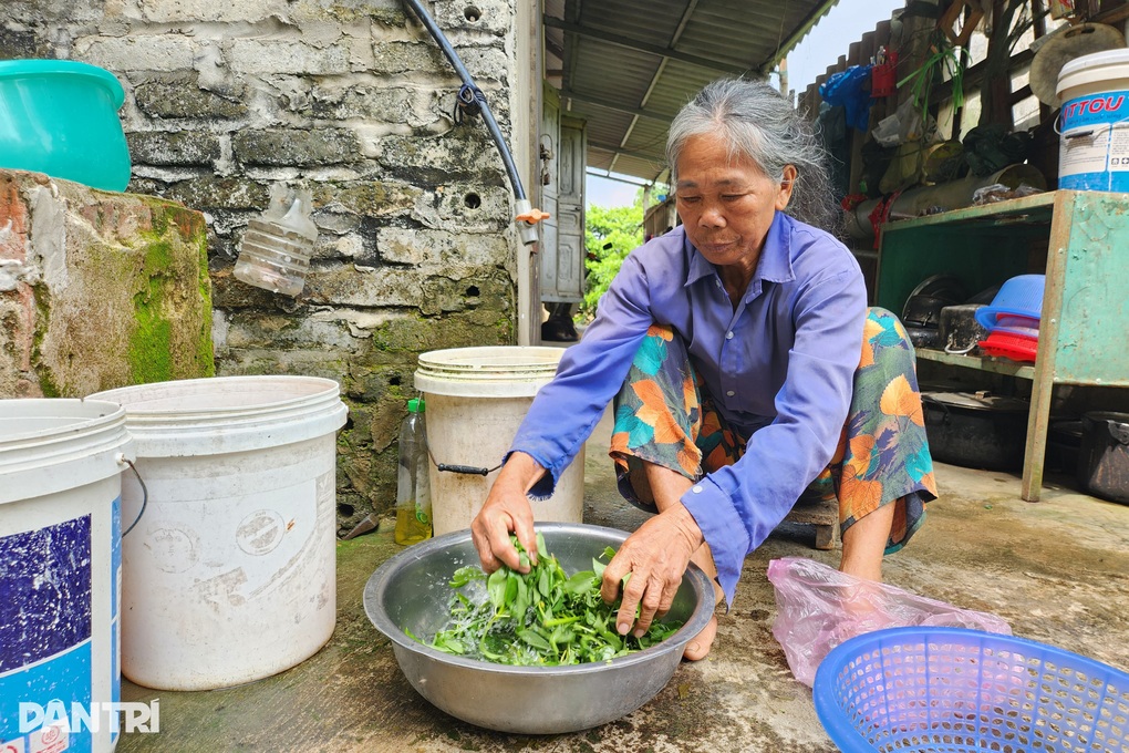 Chồng con mang án tử, cụ bà gần đất xa trời gồng gánh cả gia đình - 4 Chồng con mang án tử, cụ bà gần đất xa trời gồng gánh cả gia đình - 4