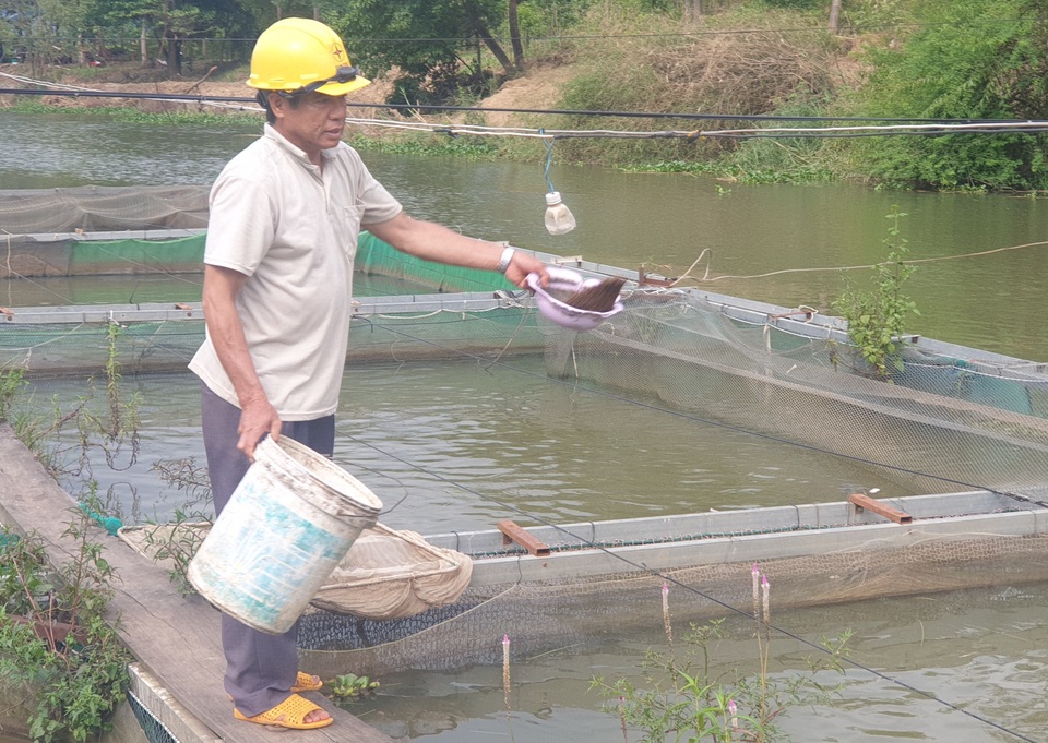 Lên Tây Nguyên xem lão ngư nuôi cá đặc sản tiến vua, thu 500 triệu đồng/năm - 1 Lên Tây Nguyên xem lão ngư nuôi cá đặc sản tiến vua, thu 500 triệu đồng/năm - 1