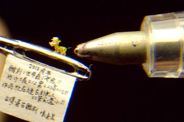 Ngắm con hổ nhỏ hơn lỗ kim