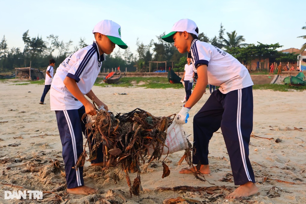 Việc làm lay động trái tim của biệt đội nhí - 2 Việc làm lay động trái tim của biệt đội nhí - 2