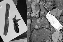 Vụ thầy bói chém nhà hàng xóm: Hung thủ gây án vì cho rằng bị yểm bùa?