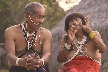 Hệ lụy ập xuống bộ tộc Amazon khi lần đầu được... kết nối internet