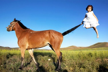 Nghệ thuật thách thức trọng lực