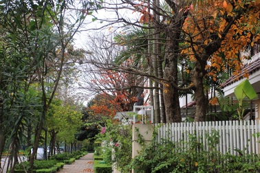 Sắc xuân căng tràn tại phố tây Ciputra Hanoi