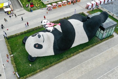 Tượng gấu trúc khổng lồ cầm điện thoại chụp ảnh gây sốt