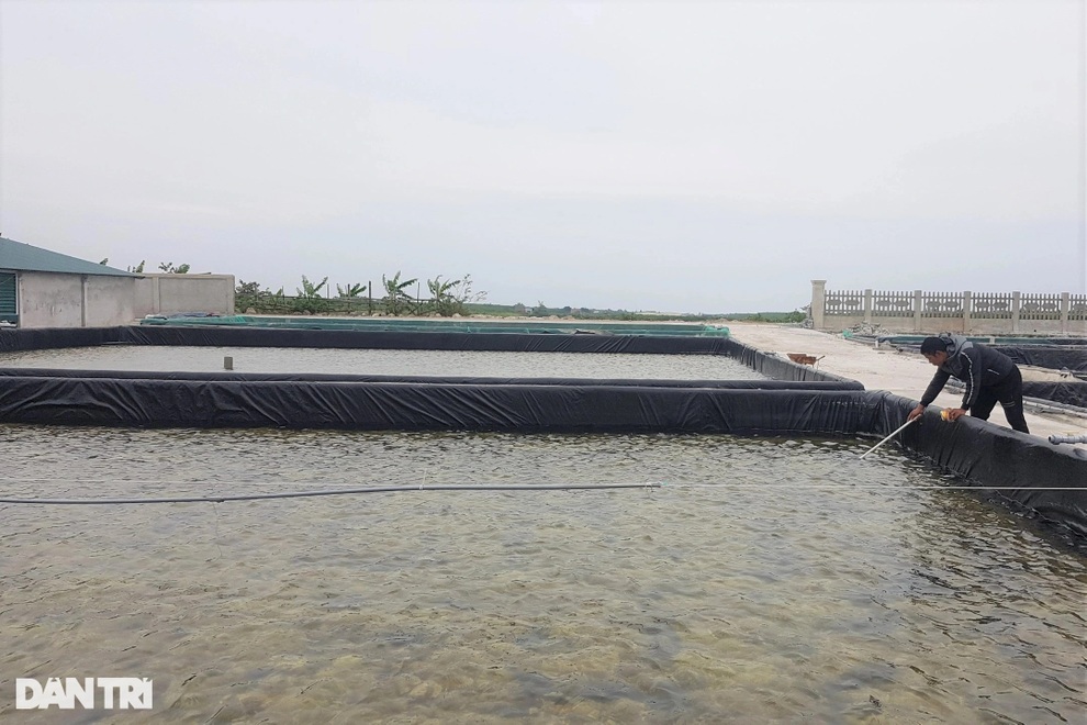 Chàng trai 8X nuôi con nhỏ li ti, thu tiền tỷ mỗi năm - 5 Chàng trai 8X nuôi con nhỏ li ti, thu tiền tỷ mỗi năm - 5