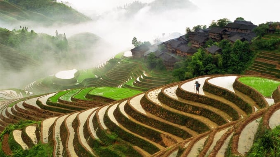 Những bức ảnh có thể giúp bạn thư giãn trong cơn căng thẳng - 12 Những bức ảnh có thể giúp bạn thư giãn trong cơn căng thẳng - 12
