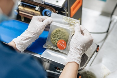 Tận mắt từng khâu sản xuất bánh Trung thu để yên tâm lựa chọn cho gia đình