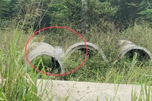 Phát hiện người đàn ông tử vong trên ống cống ở Bình Dương