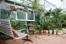 Ảnh dự thi số 2: Lucky Garden - Góc sân và khoảng trời bình yên