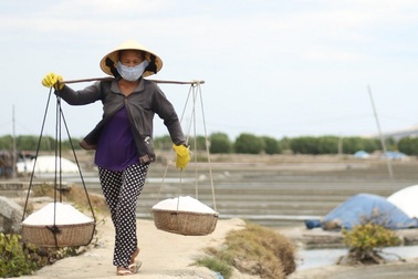 Bán 1 kg muối mua không nổi ổ bánh mì chay, diêm dân tính bỏ ruộng hoang