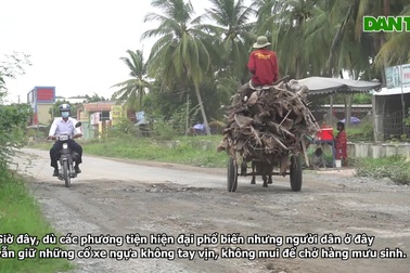 Ngắm "siêu xe" mui trần, không tay vịn chạy bằng cỏ chở hàng ở An Giang