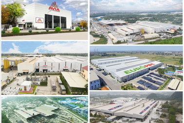 Tập đoàn AMACCAO - sự thành công đến từ hướng đi và cách làm khác biệt