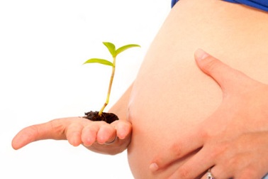 Nhà có thêm nhân khẩu