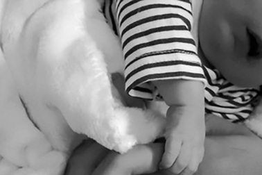 Bé 18 tháng tuổi suy kiệt đến chết vì… ăn chay