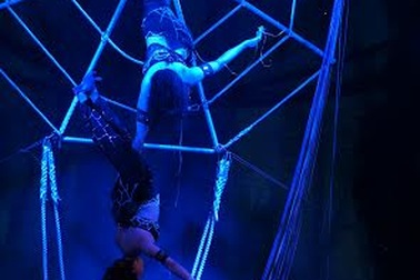 "Bước đột phá mới của nghệ thuật kịch xiếc Việt Nam"