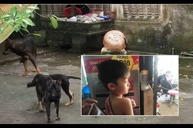 Bé trai 7 tuổi bị chó cắn tử vong khiến dư luận bức xúc