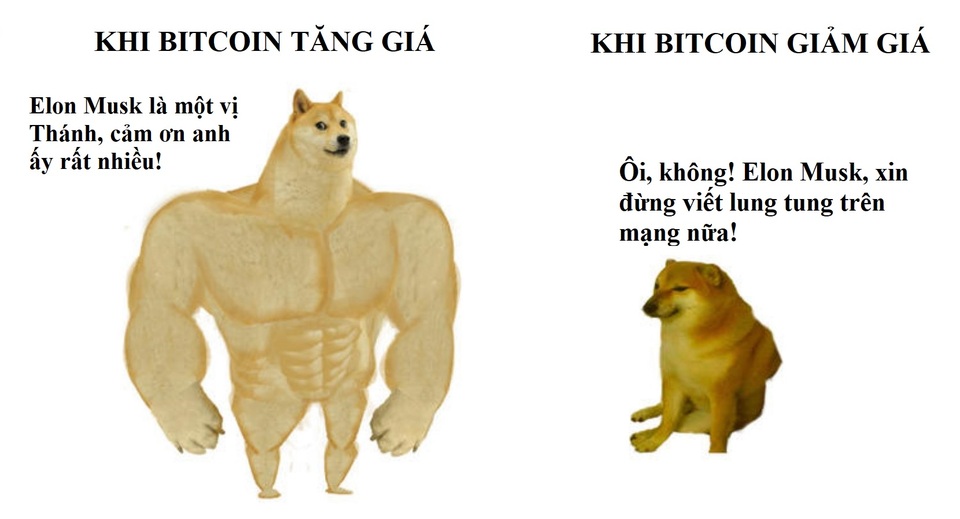 Cư dân mạng chế ảnh hài hước về tình cảnh mất giá của các đồng tiền điện tử - 18 Cư dân mạng chế ảnh hài hước về tình cảnh mất giá của các đồng tiền điện tử - 18