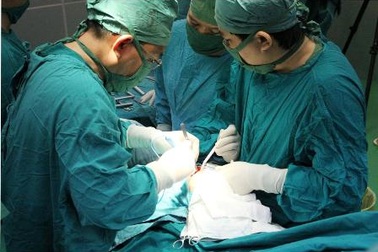 Bé trai sơ sinh suýt mất “của quý” vì bị… chó cắn