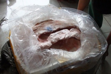 Hàng chục tấn thịt “bẩn” đang tuồn vào thành phố bị bắt giữ