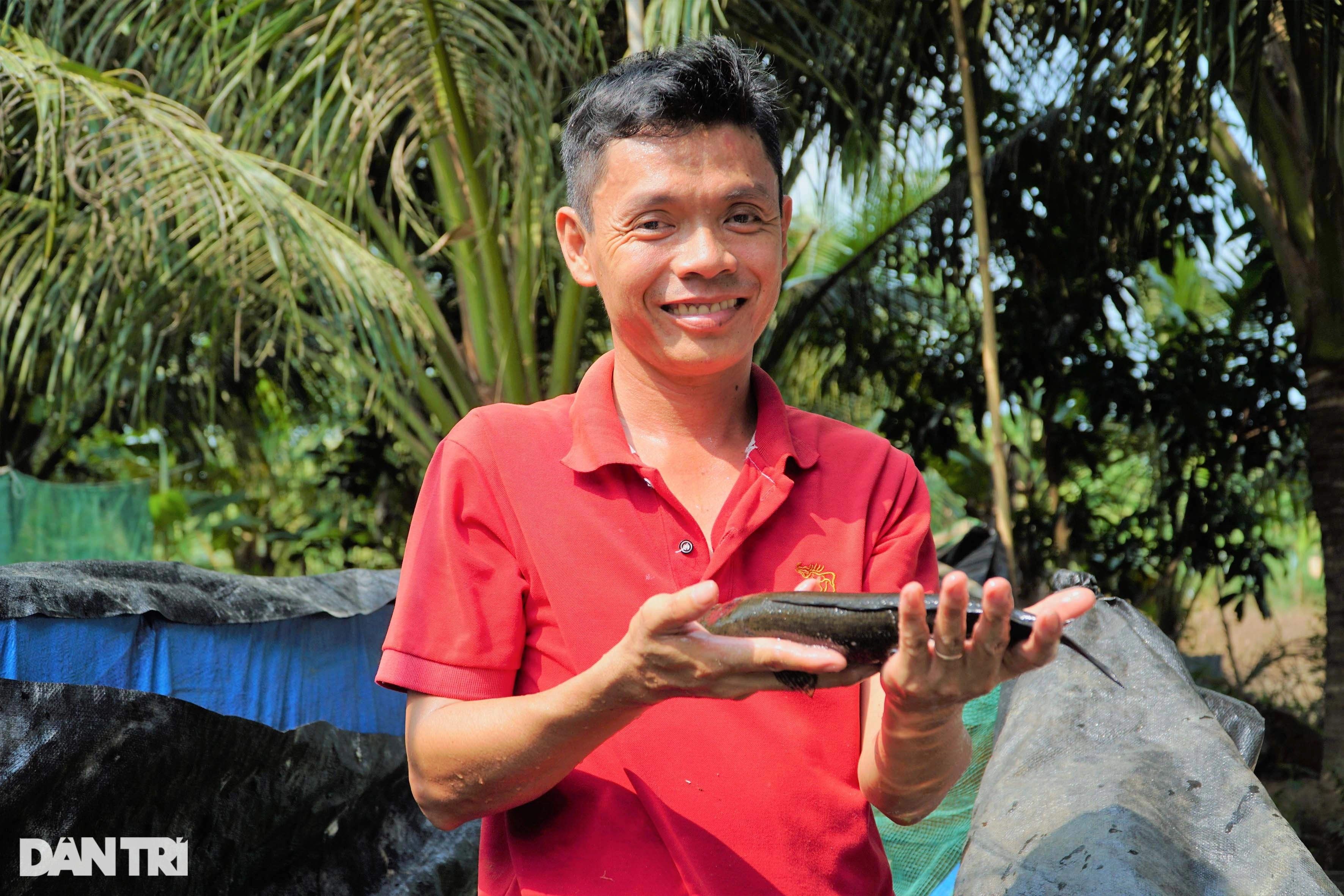 8X nuôi loài cá lạ, bé bằng đầu đũa đã bán hết veo - 1