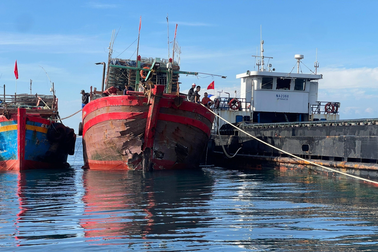 Tàu hàng và tàu cá va chạm trên biển, 8 ngư dân được cứu kịp thời