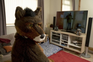 Không thích sống kiếp người, chàng trai giả làm chó mỗi khi hết giờ làm