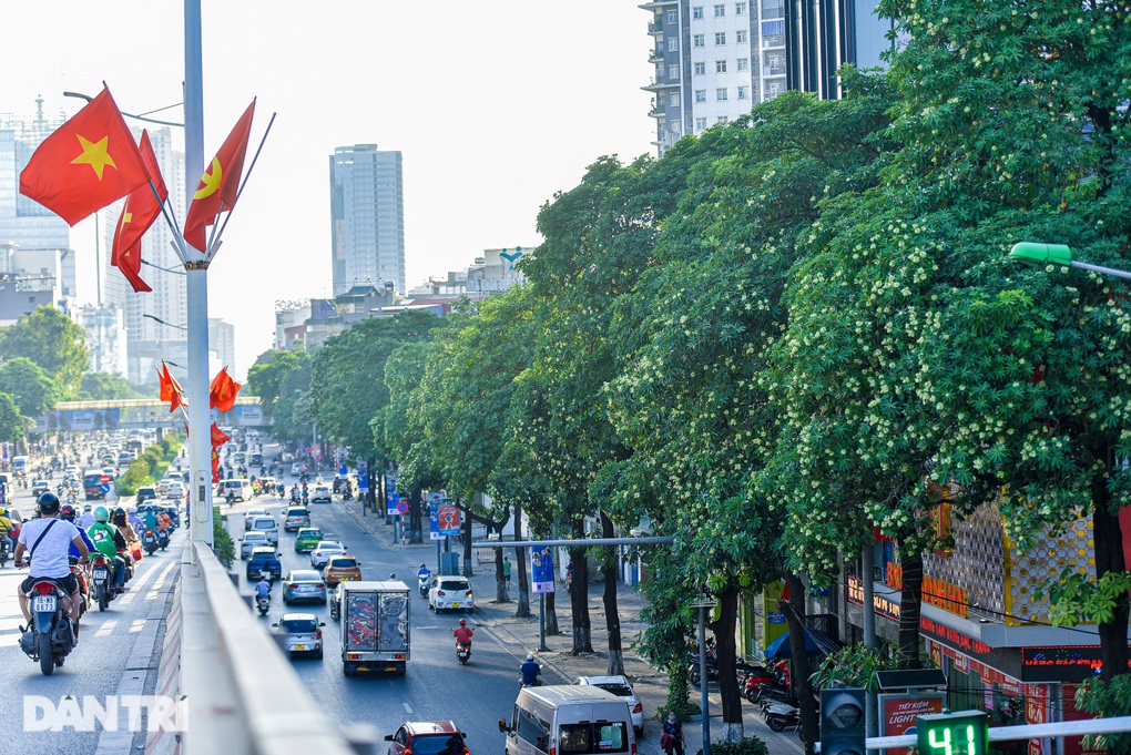 Phố phường Hà Nội nồng nàn mùa hoa sữa - 2 Phố phường Hà Nội nồng nàn mùa hoa sữa - 2